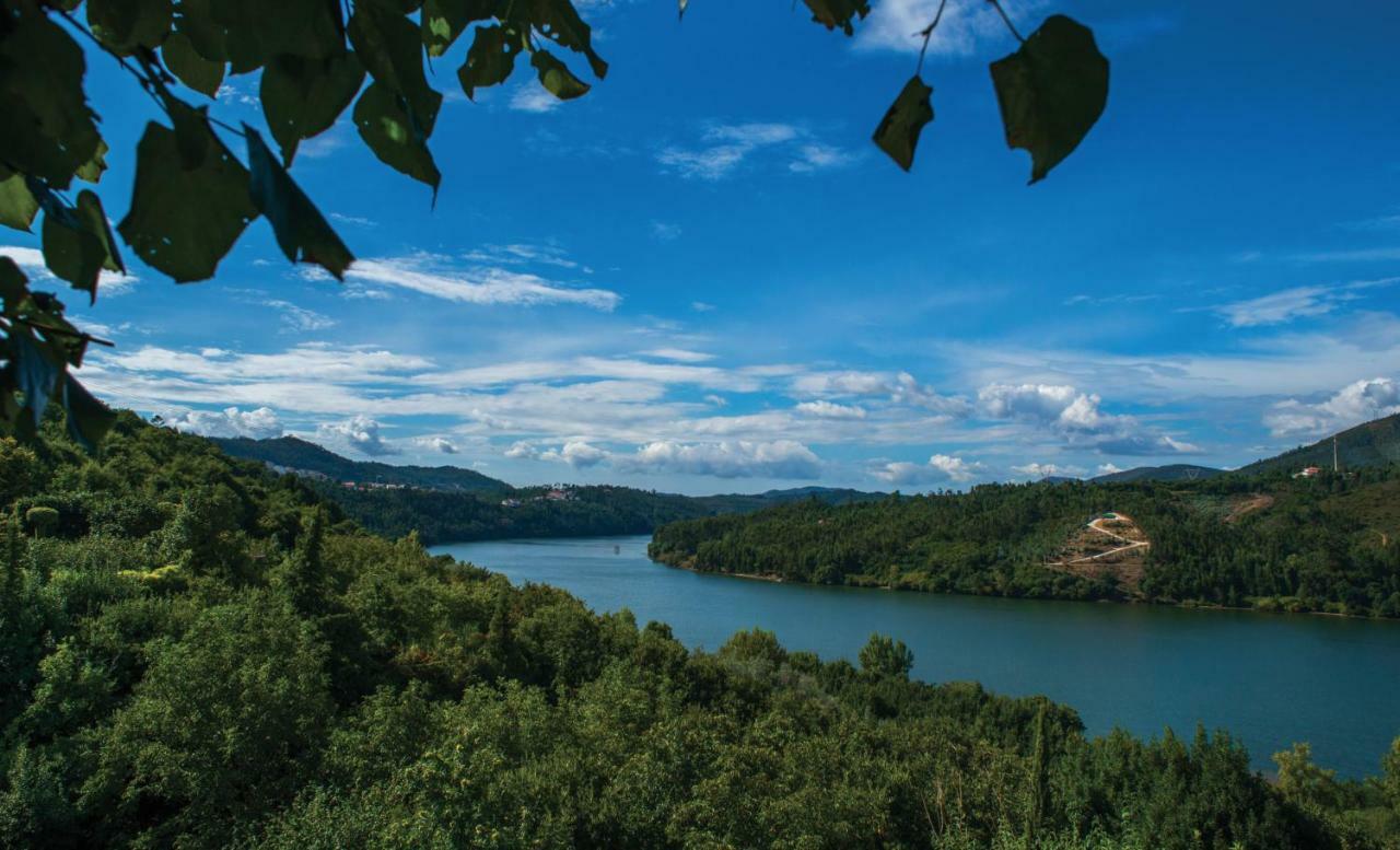 Quinta Vilar E Almarde Каштелу-ди-Пайва Экстерьер фото